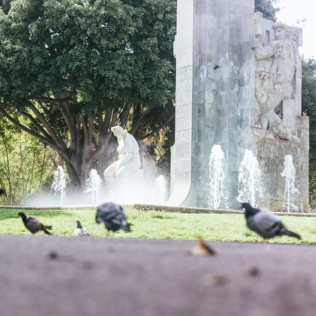 pigeons are walking around in front of a fountain in a park