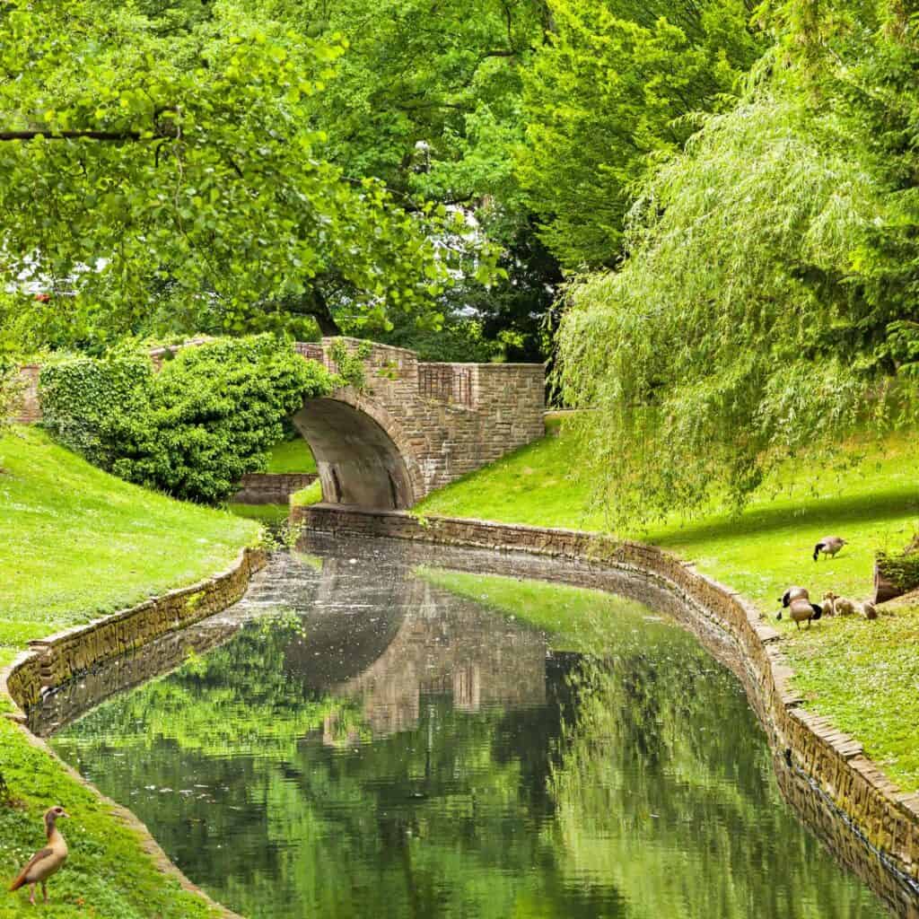 a canal in a park surrounded by trees and grass