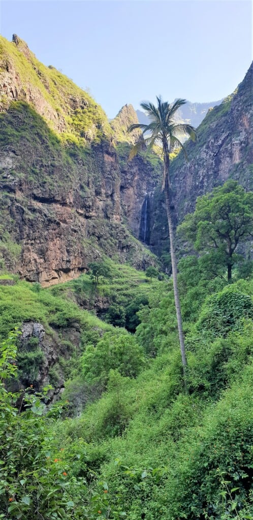 a view of a small waterfall in santo antao by mountains and trees and forest on the foreground