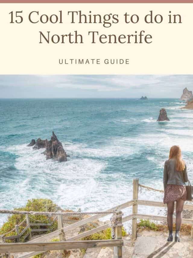 15 Amazing Things To Do in North Tenerife