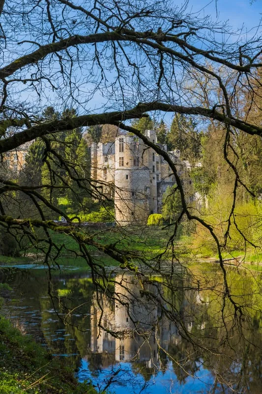 amazing day trips from Luxembourg, Beaufort castle ruins in Luxembourg sitting on the banks of a small river with low hanging branches of trees in the foreground and a reflection of the castle in the water beneath