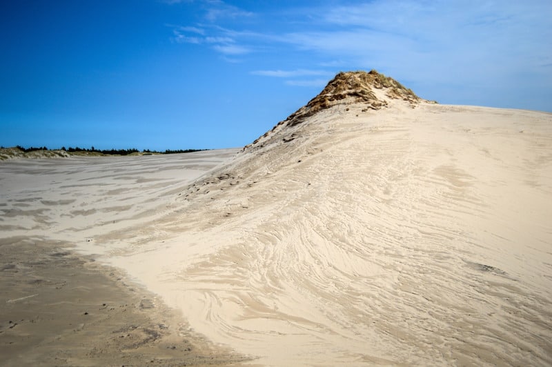 Sand Dune in Slowinski National Park (Leba/Poland)