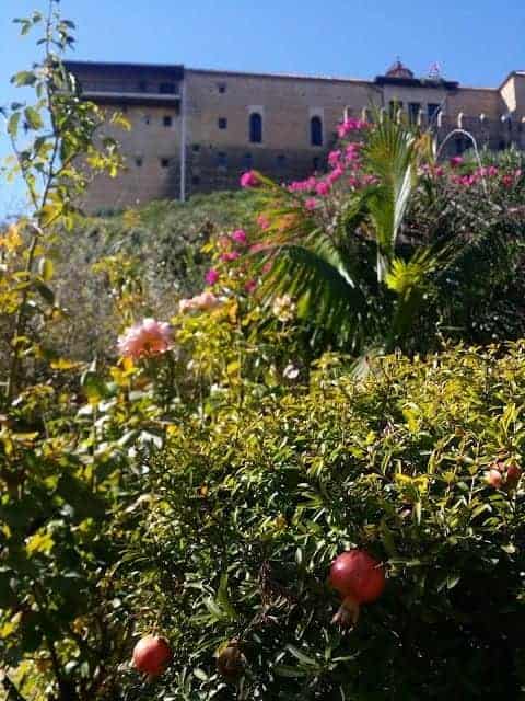 grgeous carmona parador views