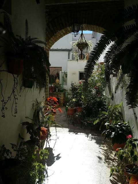 carmona, seville view