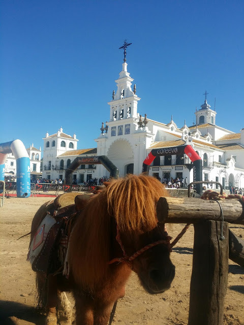 el rocio, seville, sevilla, huelva, excursion, trip, hotel, flamenco, dance, music, folclore, folklore, señora, horses, caballos