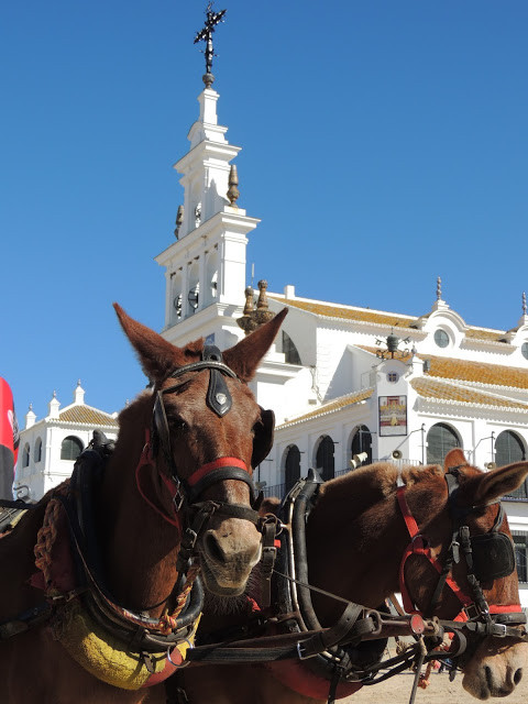 el rocio, seville, sevilla, huelva, excursion, trip, hotel, flamenco, dance, music, folclore, folklore, señora, horses, caballos