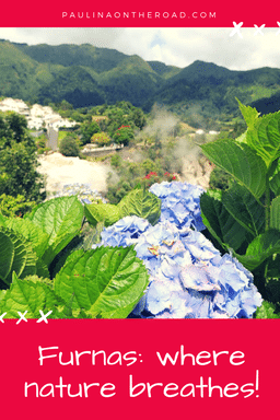 furnas, pinterest, azores, sao miguel