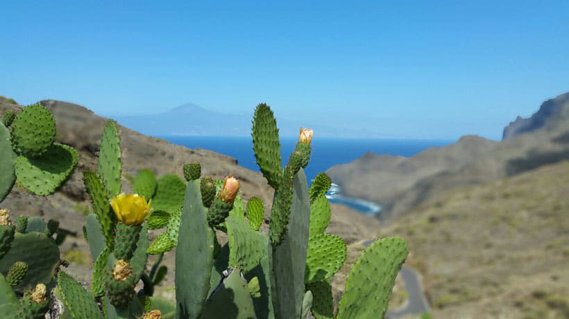 gomera, tenerife, ferry, canarias, canary islands, hiking, senderismo, capital, food, comida, spain, espana, island, silbo gomerano, paradise, nature, naturaleza, car, coche, san sebastian, gofio, teide, colon, columbus