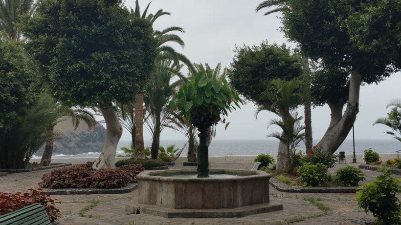 icod de los vinos, garachico, tenerife, teneriffa, canary islands, canarias, arquitectura, architecture, comer, visit, restaurant, food, canarian, drago, tree, arbol, visitar, turismo, tourism, punta de teno, gomera