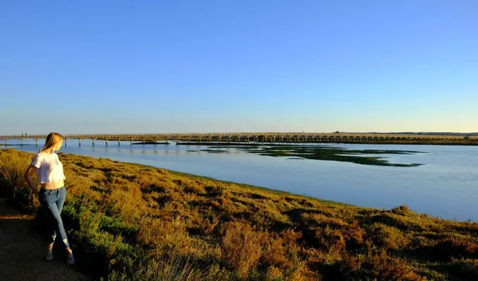 things to do in algarve in winter, looking out over Ria Formosa Nature Reserve
