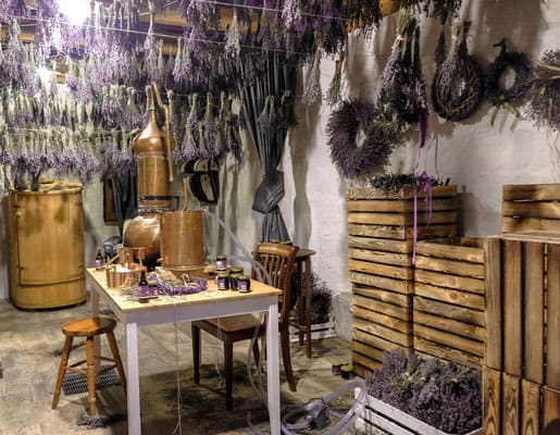 hanging lavender and materials at the lavender farm in kashubia