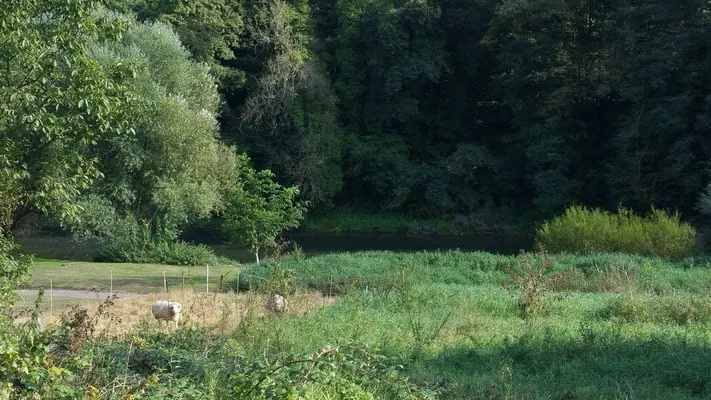 image 0 4 3 9 - Panorama Cycling in Luxembourg