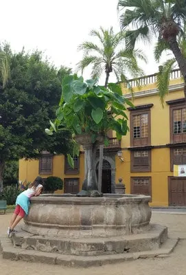 image 0 4 8 - Garachico & Icod de los Vinos: Tenerife's Cloudy Side