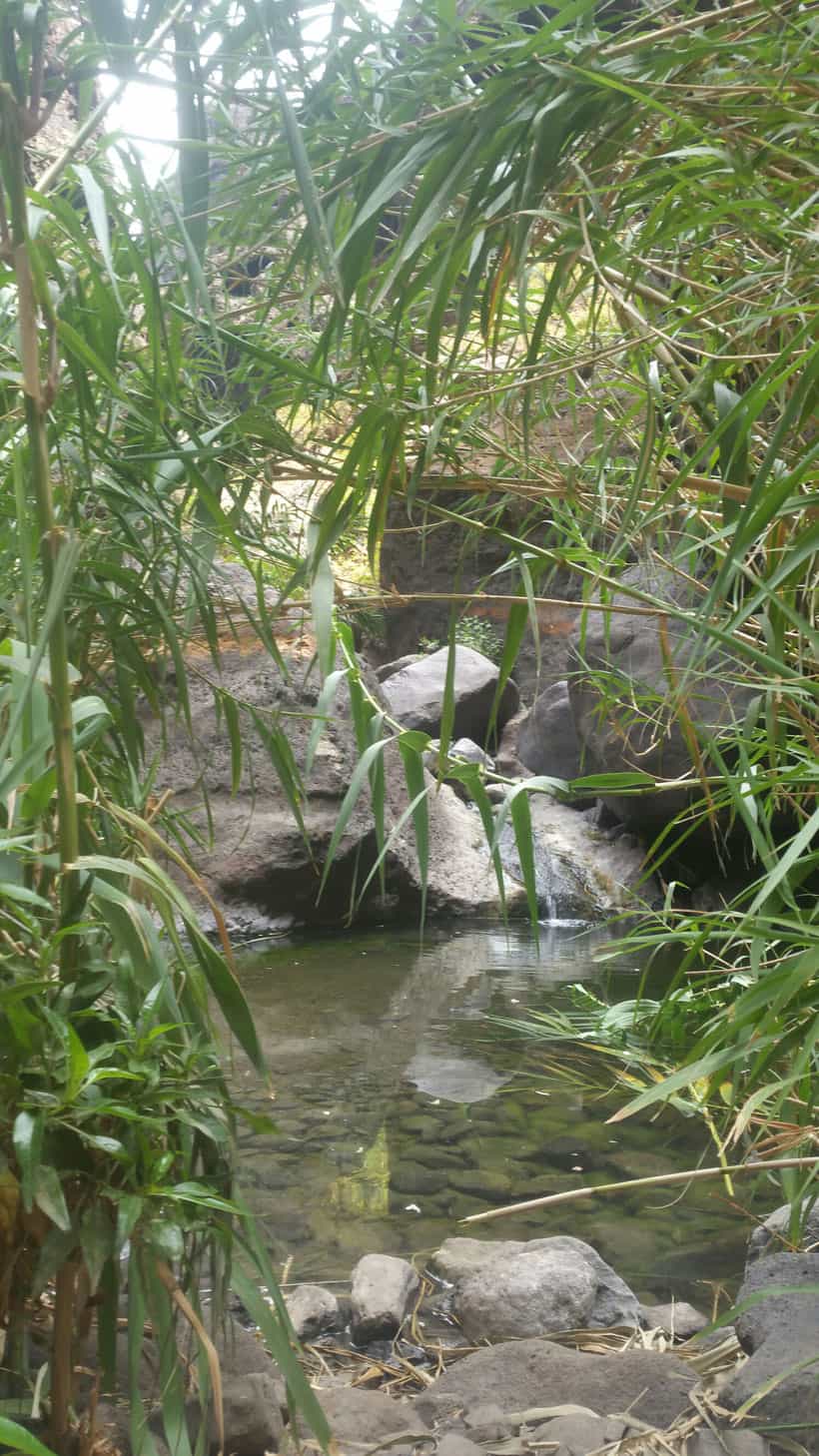 Hidden corners in Masca Canyon - Rincones escondidos en el barranco de Masca