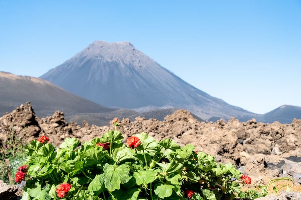 que faire ile de fogo cap-vert, cap vert randonnées, volcan fogo, hotels, sejour, sao filipe, mostreiros