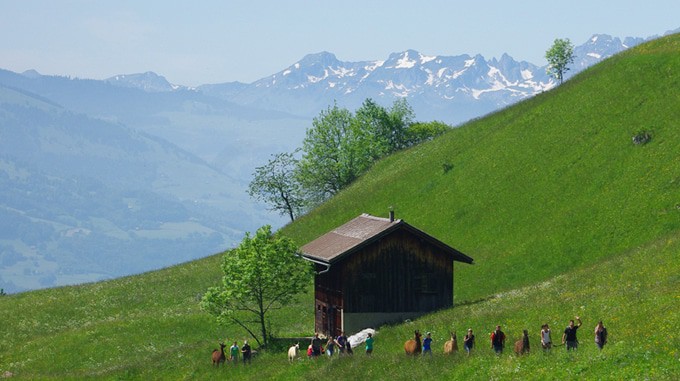 image 1 6 3 - 15 Best Things To Do in Liechtenstein on a Long Weekend