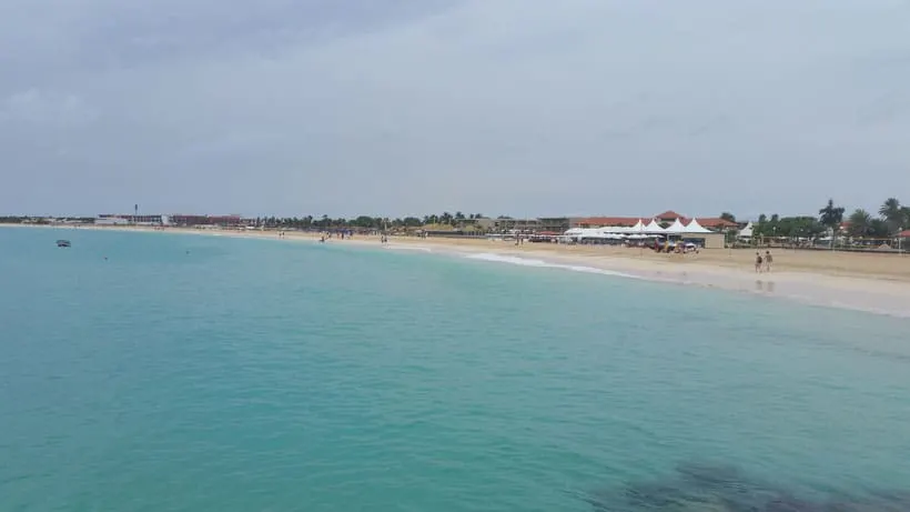 a view of a beach with people, trees, and umbrellas