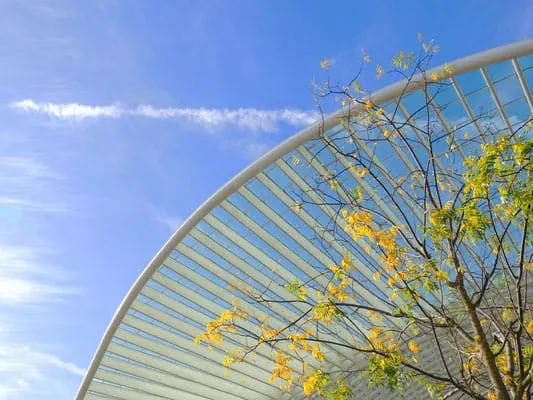 outside view of liege train station with branches of yellow flowers