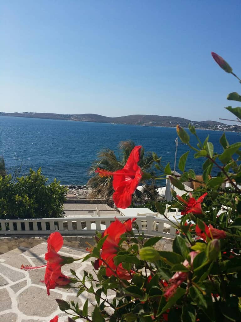 fun things to do in paros island, flowers overlooking the beach in Parikia