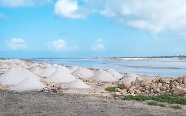 maio, ilha do maio, what is maio, cape verde, capo verde, cabo verde, holidays, hotels, resort, property, vila do maio, airport, flights to maio, stella maris, isla de maio, calheta, turtle, music, island