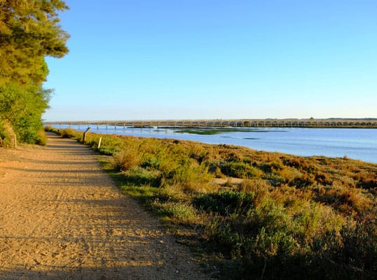 sunny algarve in winter, walking along a hiking path in ria formosa