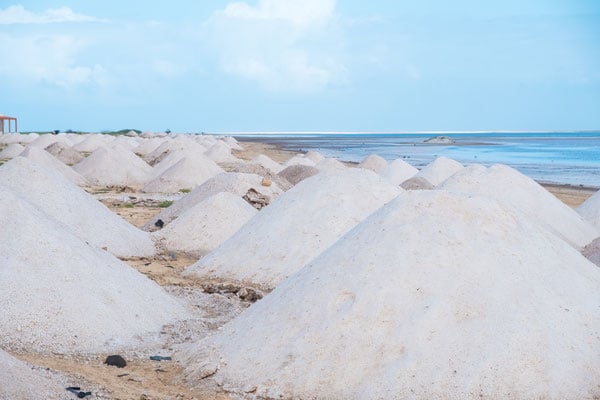 maio, ilha do maio, what is maio, cape verde, capo verde, cabo verde, holidays, hotels, resort, property, vila do maio, airport, flights to maio, stella maris, isla de maio, calheta, turtle, music, island