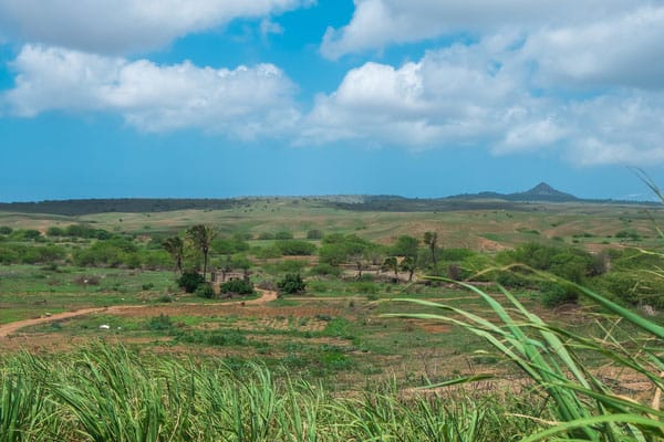 maio, ilha do maio, what is maio, cape verde, capo verde, cabo verde, holidays, hotels, resort, property, vila do maio, airport, flights to maio, stella maris, isla de maio, calheta, turtle, music, island