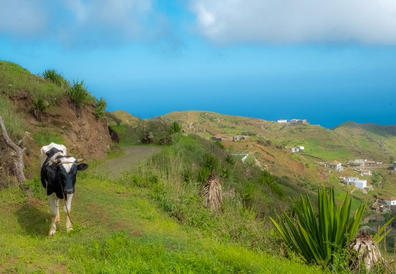 brava, island, ilha, cape verde, cap vert, hiking, trekking, how to get there, resort, hotel, resort, holiday, vacation, best island, flights, ferry, day trip, cruise, food, prices, what to do, fogo, volcano, water sporte