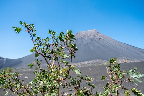 que faire ile de fogo cap-vert, cap vert randonnées, volcan fogo, vin de fogo