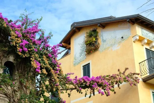 image 8 4 4 4 - Autumn at Lake Garda: Enchanting Sirmione and Verona