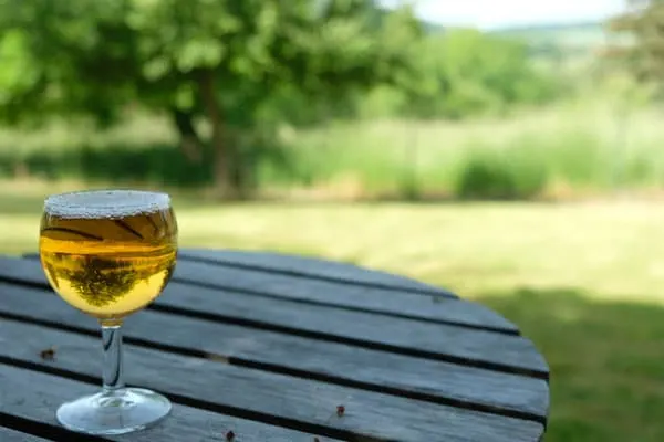 a beer glass on table with trees and grass at the back