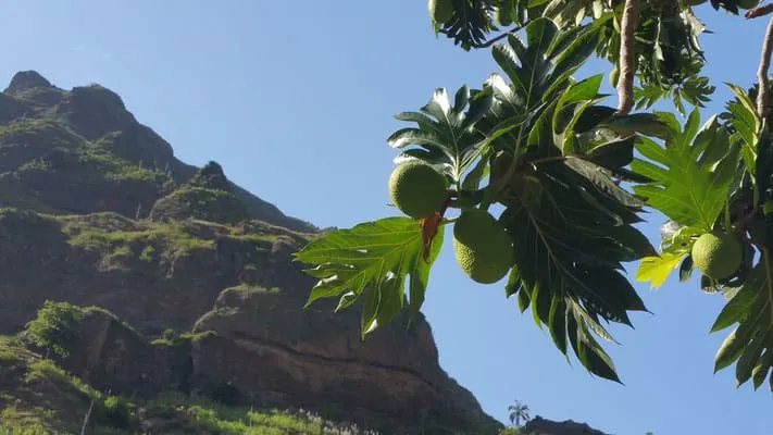 image 9 3 3 0 - Santo Antão, Cabo Verde: La Isla Verde