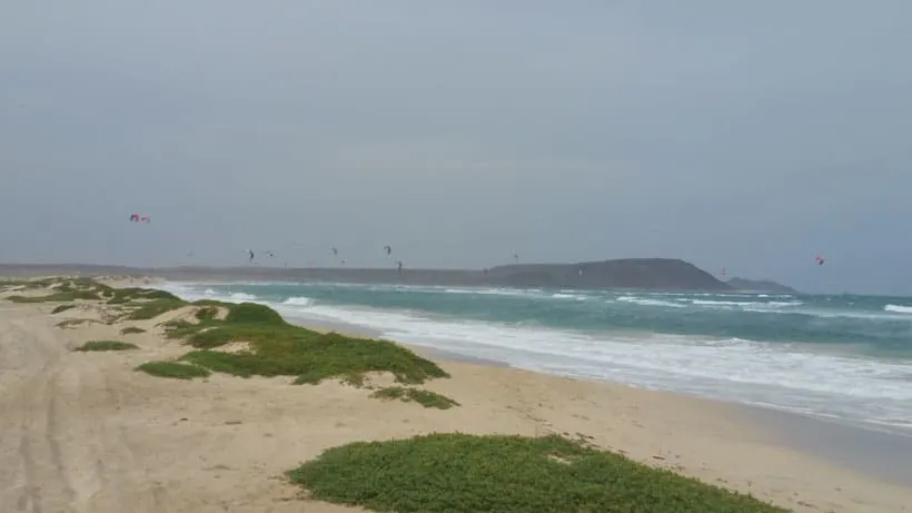 a beach with moss and waves with people kitesurfing