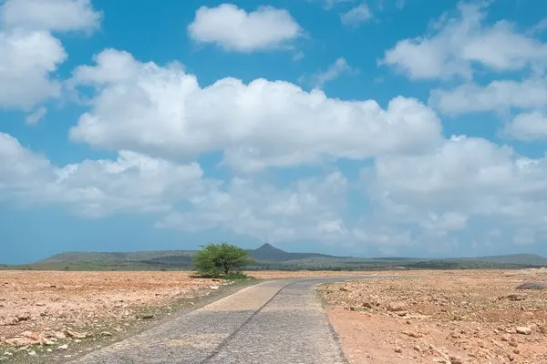 maio, ilha do maio, what is maio, cape verde, capo verde, cabo verde, holidays, hotels, resort, property, vila do maio, airport, flights to maio, stella maris, isla de maio, calheta, turtle, music, island