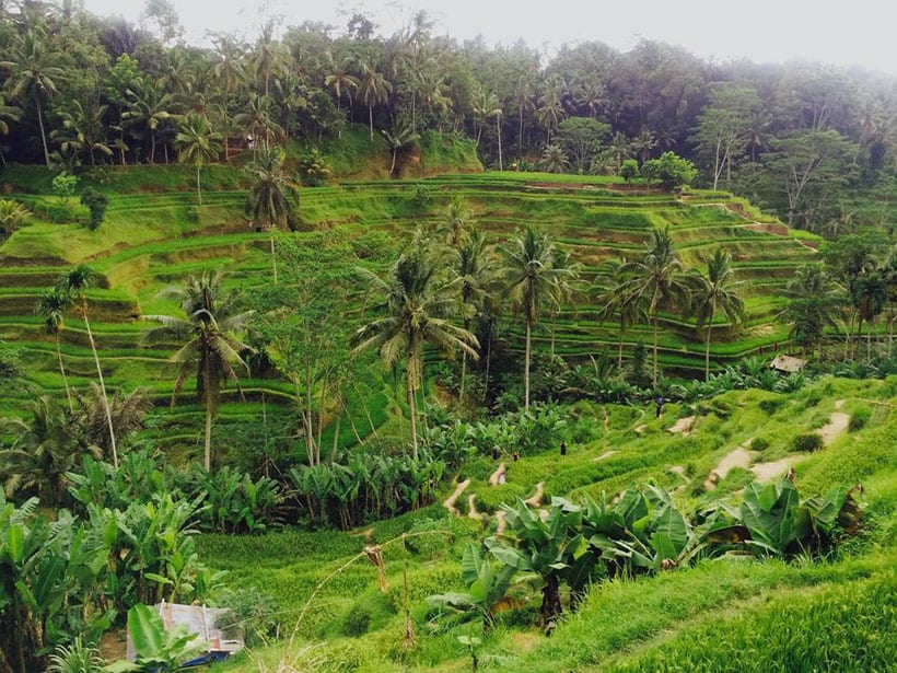 java, bali, traveling, unsure, digital nomad, guest post, decision, life, wanderlust, thailand, asia, gypsy, travel, backpacking, world tour, self confidence, england, to the world,