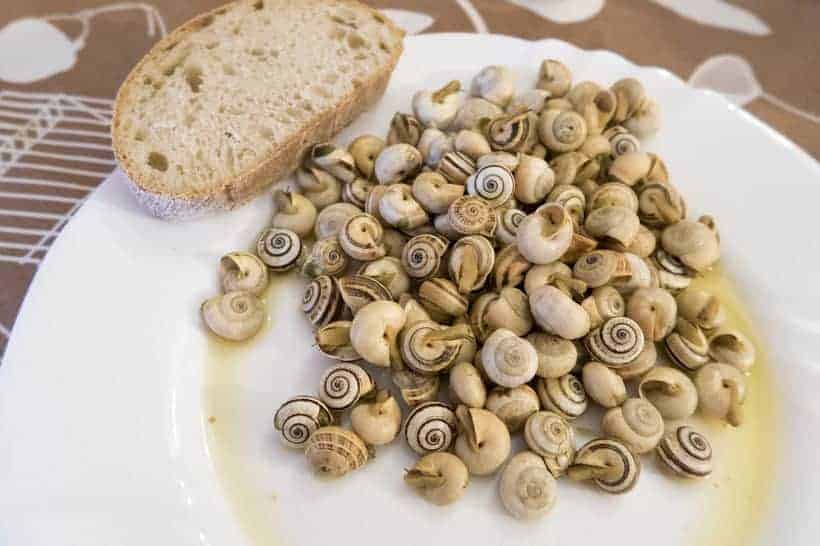 typical food of madrid, snails madrid style