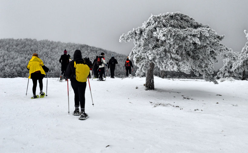 unique things to do in madrid in winter, skiing in the madrid mountains