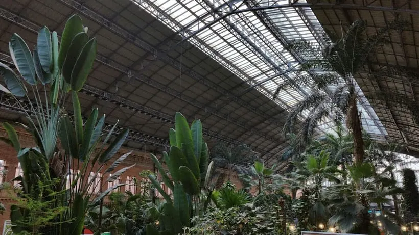 visit all the secret places in madrid, tropical gardens in atocha train station