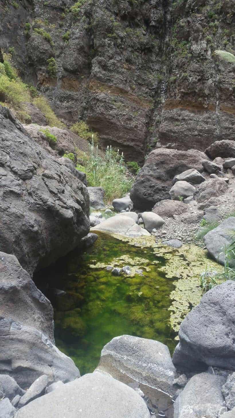 masca, trekking, hiking, senderismo, tenerife, canarias, canary islands, rutas, visitas, como llegar, espana, spain, how to, adeje, excursion, viaje, travel