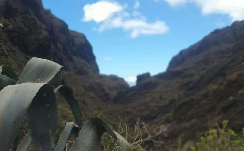 masca, trekking, hiking, senderismo, tenerife, canarias, canary islands, rutas, visitas, como llegar, espana, spain, how to, adeje, excursion, viaje, travel