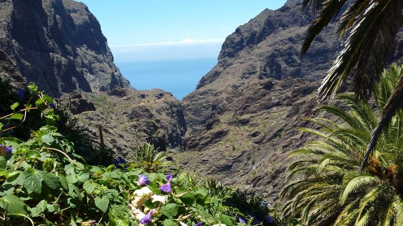 hiking masca trail, masca gorge, masca ravin, northern tenerife, outdoor tenerife, best things to do, masca beach, masca tour