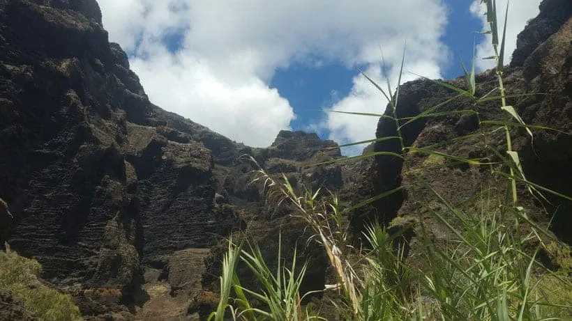 hiking masca trail, masca gorge, masca ravin, northern tenerife, outdoor tenerife, best things to do, masca beach, masca tour