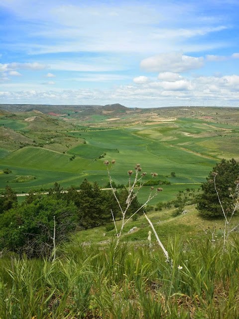 Medinaceli, spain, travel, soria, siguenza, madrid viaje, excursion