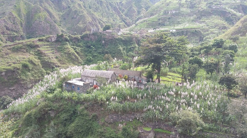 views on santo antao from the top with a house near weeds and grass on a mountain