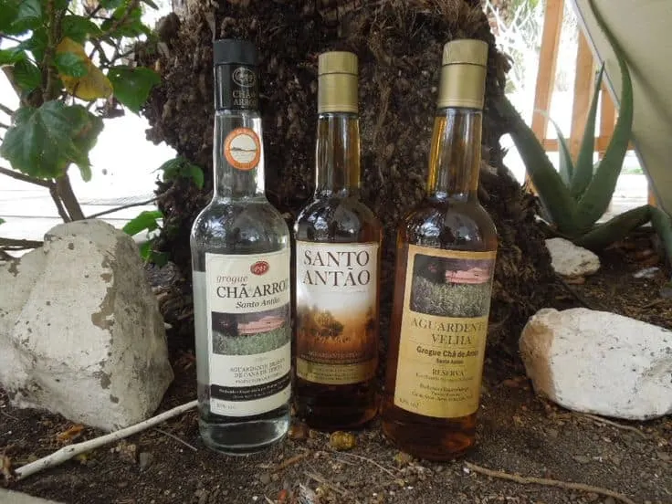 three bottles of locally produced alcohol sitting next to the base of a tree with white rocks and green plants nearby