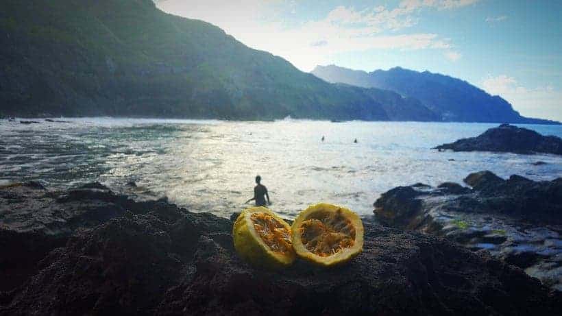 a fruit sliced in between on top of rocks with the view of a beach with swimmers, mountains, on a bright day