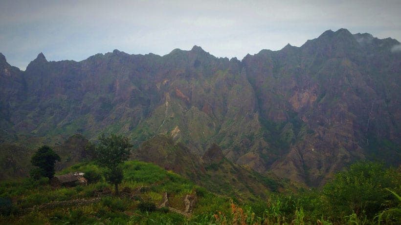 a view of mountains and trees