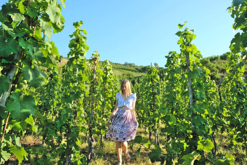 Things to do in Mosel Valley: Vineyards and wine tasting