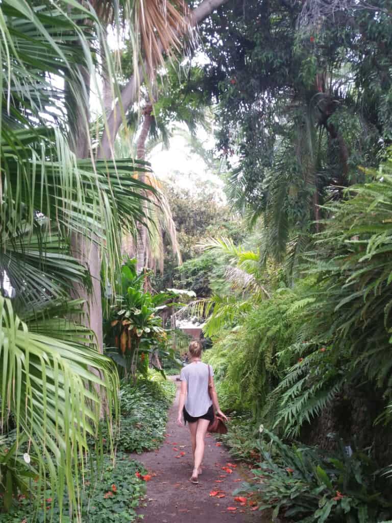 what to see in North Tenerife, person walking through botanical gardens