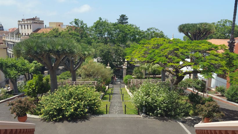 Discover your favourite Tenerife things to do, garden area with green trees and shrubs with pathway leading down the middle